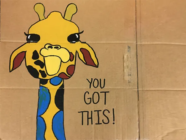 box art giraffe